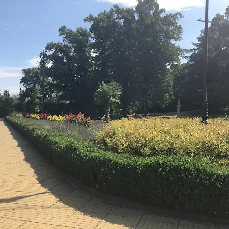 Olivia Przy Deptaku *