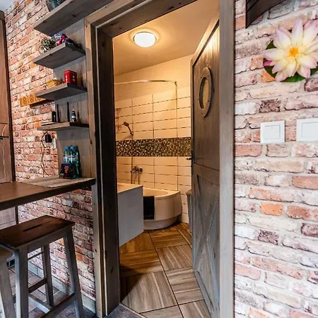 Olivia Przy Deptaku Apartament *