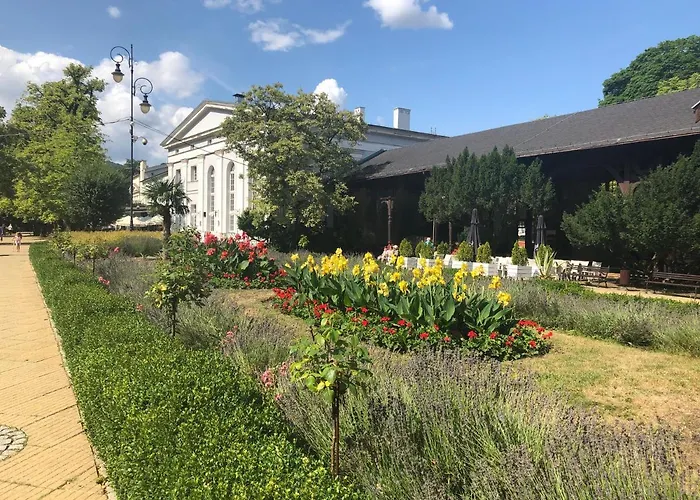 Olivia Przy Deptaku *